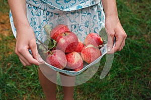 Girl holding apples in skirt hemline