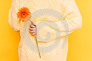 Girl holding a beautiful flower behind her back against a yellow background