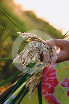 Girl holding a bouquet of grass with panicles