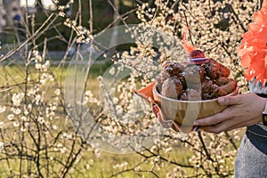 The girl is holding a bowl with donuts. Traditional pastries for King`s Day festival in the Netherlands. Family picnic in the par