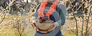 The girl is holding a bowl with donuts. Traditional pastries for King`s Day festival in the Netherlands. Family picnic in the par