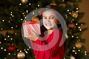 Girl Holding Christmas Present In Front Of Tree