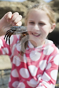 Young Girl Holding Crab Found In Rockpool On Beach photo