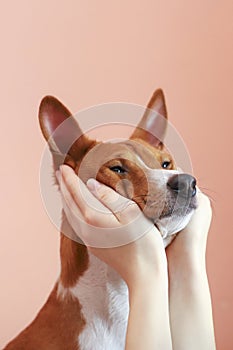 Girl holding dog head in her palms.