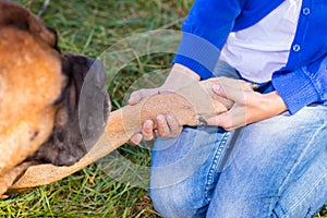 Girl holding a dog paw