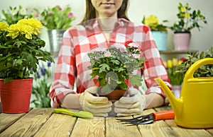 Girl holding a flower in a pot against background of a flower shop