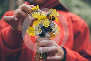 Girl holding flowers. Bouquet of flowers. Springtime background. Bouquet of daisies. Macro view of beautiful white daisies.