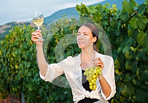 Girl holding a glass of white wine and a bunch of grapes against the backdrop of a vineyard