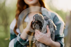 Girl holding a gray chicken in close-up on a farm in a brown apron on a sunny day