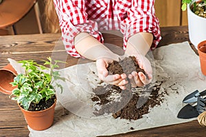 The girl is holding the ground. A girl in a plaid shirt will transplant potted plants at home. Land, seedlings, hands