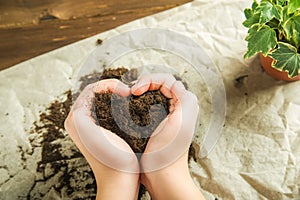 The girl is holding the ground. The girl will transplant potted plants at home. Earth, seedling, Spring, hands, the concept of pro