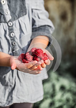 Girl holding in hand fresh raspberries