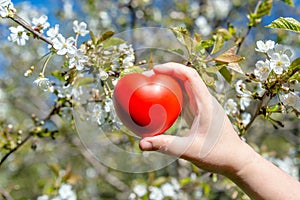 Girl holding a heart on a background of appletree