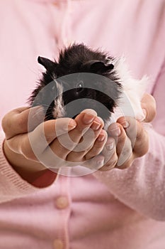 Girl holding her guinea pig