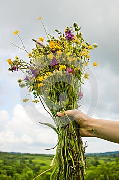 Girl holding in her hand a beautiful bouquet with multi-colored wild flowers. Amazing bunch of wilf flowers in the nature