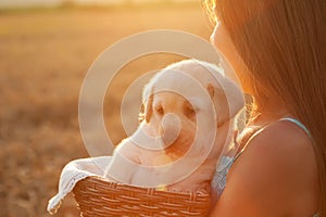 Girl holding her little puppy dog in a basket looking at the sun setting