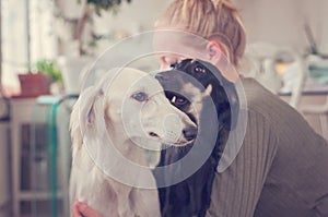 Girl holding and hugging two saluki dogs. Two Persian greyhounds being held and loved by a woman. White dog, black dog and girl