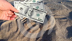 Girl holding money bill of 300 dollars on background of sandy beach