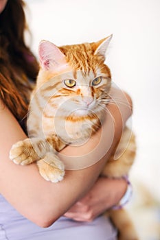 Girl holding orange tomcat photo