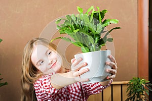 A girl is holding a pot with a flower. The girl in a plaid shirt in the hands of the ground with Schlumberger. Transplanting potte