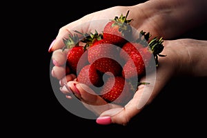 Girl holding ripe strawberries isolated on black background.