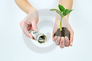 A girl holding a seedling with earth and American money