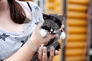 Homeless animals and pet care. girl holding a skinny angry black and white kitten in her arms photo