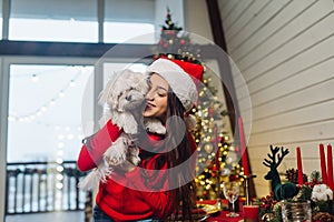 Girl holding a small dog in her arms on new year& x27;s eve