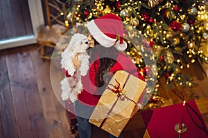 Girl holding a small dog in her arms on new year& x27;s eve