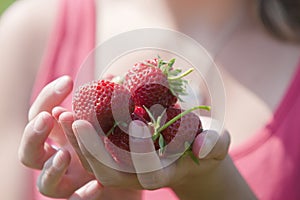 Girl holding strawberries