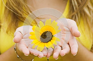 Girl holding a Sunflower.