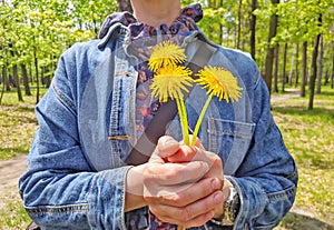 girl holding three dandelion flowers in her hands