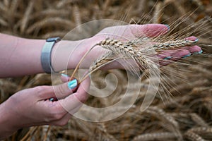 The girl is holding wheat ears in her hand