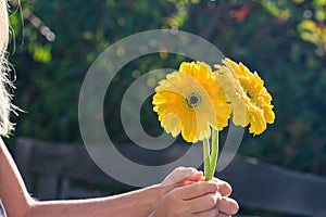 Girl holding yellow flowers