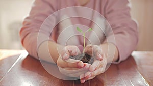 Girl holding young green plant in hands. Concept and symbol of growth, care, protecting the earth, ecology.