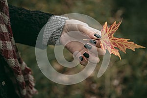 Girl holds an autumn leaf in hand on a background of green grass
