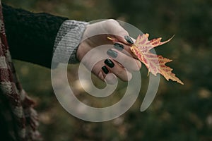 Girl holds an autumn leaf in hand on a background of green grass