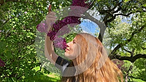 Girl holds a branch with red lilac in her hands and smells the fragrant flowers.