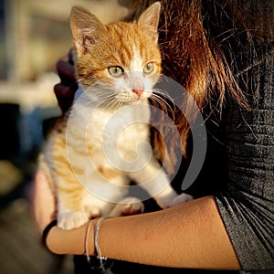 Girl holds a cat in her arms