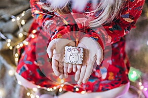 A girl holds Christmas gingerbread in her hands