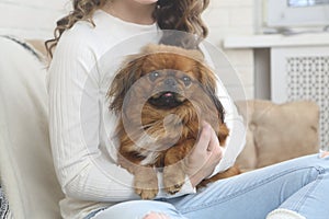 Girl holds a dog. The dog sits on the girlâ€™s lap