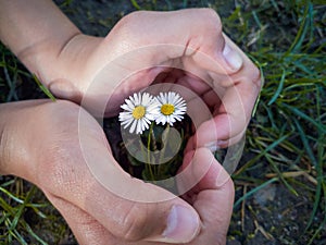 Girl holds hands in shape of heart symbolizing love and care