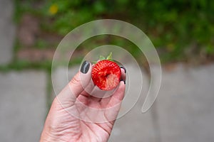 Girl holds in her hand a bitten off ripe and juicy red strawberry
