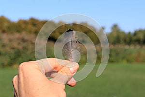 The girl holds in her hand a small gray feather. on the background of green trees and grass