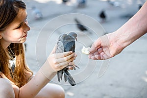 A girl holds a pigeon in her hands. A man`s hand feeds a pigeon