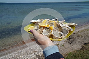A girl holds a plate with fresh oysters in her hands on a background of water.
