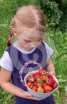 The girl holds a ripe juicy red fragrant strawberry in her hands.