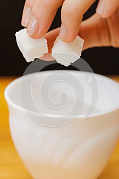 Girl holds a two pieces of lump sugar