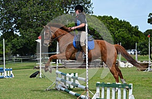 Girl horse back riding