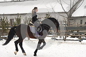 A girl on a horse jumps gallops. A girl trains riding a horse in a small paddock. A cloudy winter day